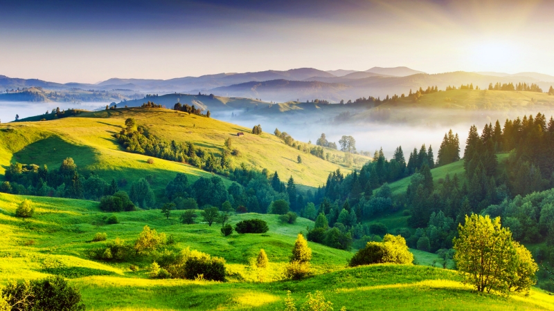 Paesaggio campagna alberi